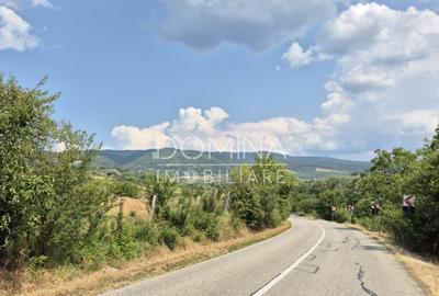 Proprietate in apropiere de complex turistic Mu?ete?ti - 10