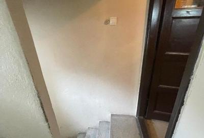 Villa Interblica - Parcul Carol Villa Interblica - Parcul Carol - 7