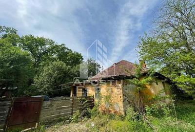 Proprietate unica in padurea de la Bazosul Nou. - 6