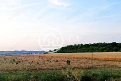 Teren intravilan de vanzare in Alparea, Bihor - 2