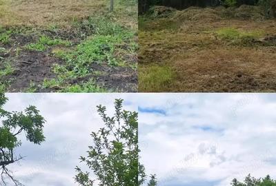 Casă cu 3 camere cu Teren 3000 Mp în Icland - 2