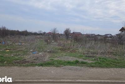 Teren de 1300 mp, în Ștefăneștii de Jos - 5