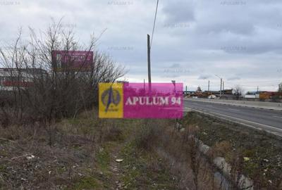 Teren cu potential comercial, bun pentru Showroom. - 17