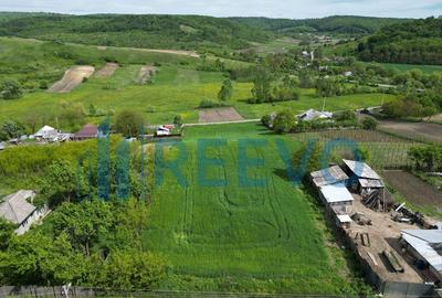 Teren de 5351 mp, în Roșiori - 13