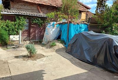 Casă cu 2 camere în Central - 7