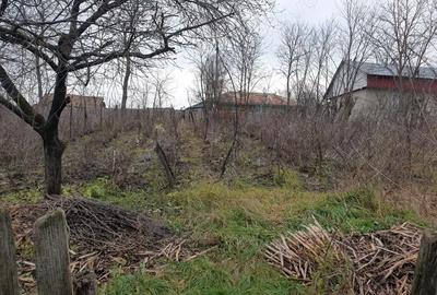 Casă cu 2 camere în Podeni - 5