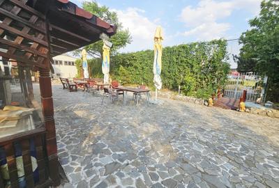 Casă + Afacere + Relaxare = Investiția Perfectă, in Cioranii de Jos - 43