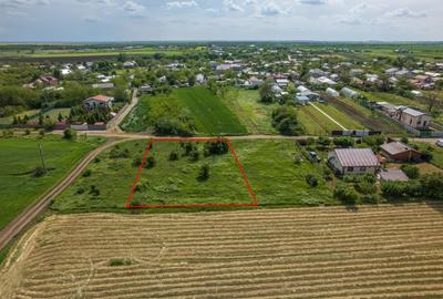 FRUMUSANI - POSTAVARI, TEREN 1500 MP, FRONT 30 M ! - 4