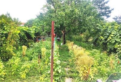 Casă de vânzare în Aradul Nou - 3