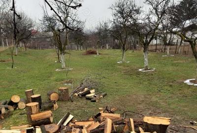 Casă cu 3 camere cu Teren 2000 Mp în Dăbâca - 2