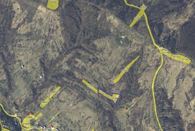 Teren faneata Vizantea Livezi; ID: R2800475 - 7