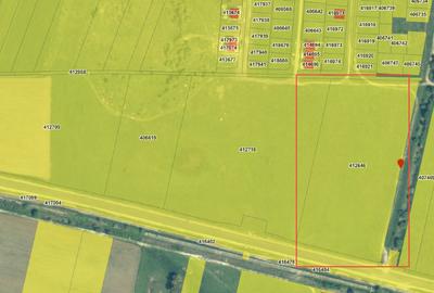 Teren Construcții extravilan de 23851 mp, în Giroc - 1