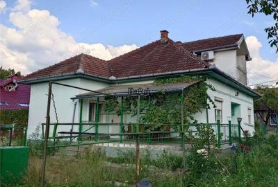 Casă cu 3 camere cu Teren 1567 Mp în Baia de Criș - 1