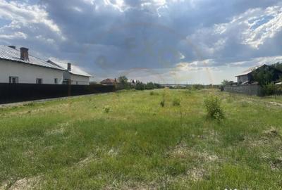 Teren de 3474 mp, în Bradu - 1