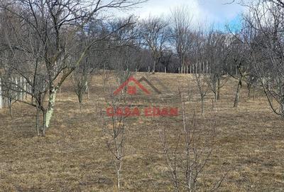 Casă cu Teren 2991 Mp în Cornu - 1