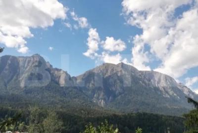 Casă cu 12 camere cu Teren 409 Mp în Central - 7