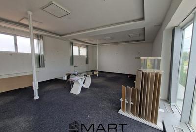 Spatiu comercial/showroom/birouri Turnisor - 7