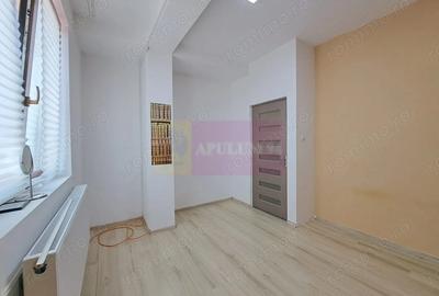 Vila P+3, 12 camere, 300 mp birouri/clinica/locuin?a, Timpuri Noi - 7