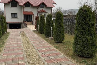 Casă cu Teren 240 Mp în Moreni - 9