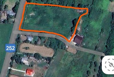 Teren Construcții intravilan de 5069 mp, în Prădaiș - 1