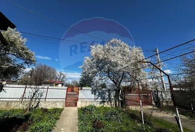 Casă cu 3 camere cu Teren 1000 Mp în Bâldana - 2