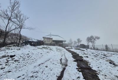 Casă cu 2 camere cu Teren 5135 Mp în Dobreni - 6