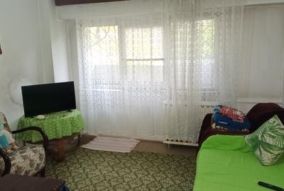 Vanzare garsoniera Anastasie Panu, libera, parter,blocul in planul 2 - 5