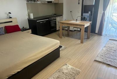 Garsonieră, mobilată în Palat - 2