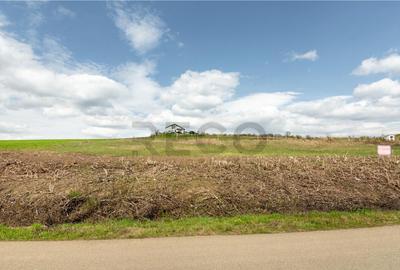 Teren intravilan Cetariu - 3