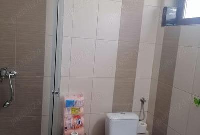 Casa si Teren Tara Lovistei Greblesti - 4