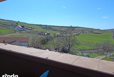 Casă cu 5 camere cu Teren 6381 Mp în Bârnova