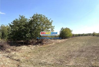 Vanzare teren intravilan Baicoi-zona tarag Vanzare teren intravilan Baicoi-zona tarag - 8