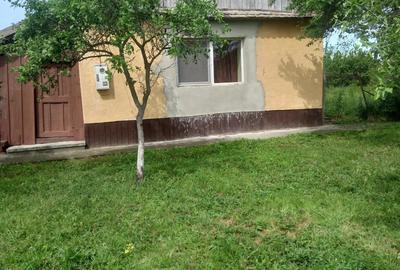 Vand Casa Tormac - 4