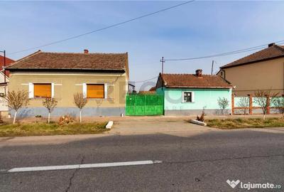Casă cu 2 camere cu Teren 3036 Mp în Borș - 15