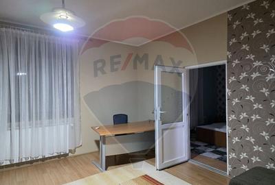 Inchiriere casa cu terasa si curte zona Piata Mica Spitalul Judetean - 10