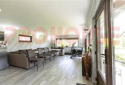 Domeniu superb: vila S+P+M si terenul aferent - 11