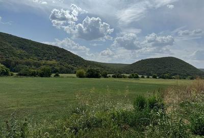 Spațiu comercial, în Slava Cercheză - 1