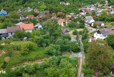 Spațiu comercial, în Valea Borcutului - 5