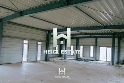 Casă cu Teren 6802 Mp în Albina - 6