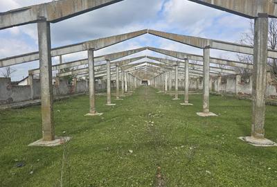 Izvoarele, jud. Giurgiu, ferma cu teren de 25 ha de vanzare - 1