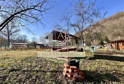Teren cu constructii Cosmina de Sus - Foisor, baie, cabanuta - 8