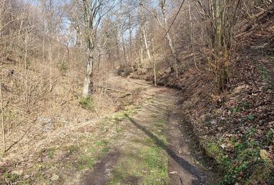 Teren arabil intravilan , priveliste mirifica , zona Schei - 8