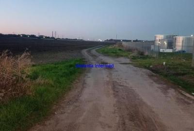 Teren constructie hale - 2