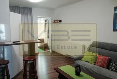 Popas Pacurari- Casa Auto Dacia - Apartament 1 camera - Parcare privata - 15