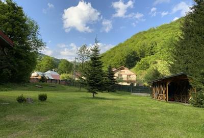 Casa cu Teren de 3000 metri patrati de vanzare - 13