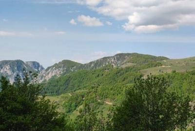 Teren de 928 mp, în Valea Inzelului - 7