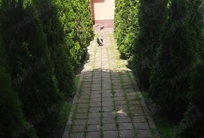 Casa Adunatii Copaceni - 3