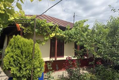Casă cu 4 camere în Urleasca - 1