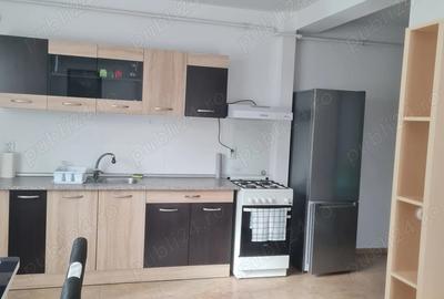Persoana fizica inchiriez apartament 2 camere, Mana?tur Persoana fizica inchiriez apartament 2 camere, Mana?tur - 3