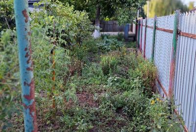 Casă în Central - 4